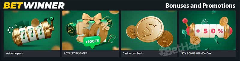 BetWinner Bookmaker Your Ultimate Guide to Betting Success